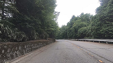 gx011790.mp4_snapshot_00.03_thumb.jpg