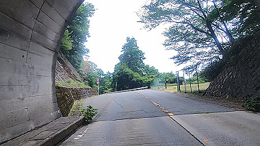 gx011790.mp4_snapshot_02.40_thumb.jpg