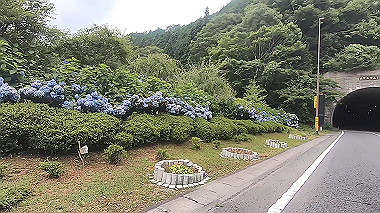 gx011797.mp4_snapshot_03.35_thumb.jpg