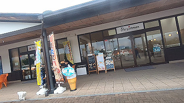 gx011820.mp4_snapshot_00.11_thumb.jpg