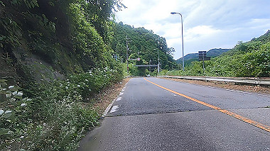 gx011835.mp4_snapshot_00.27_thumb.jpg