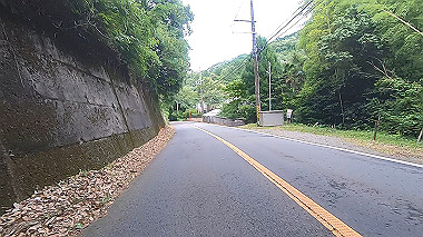 gx011837.mp4_snapshot_00.20_thumb.jpg