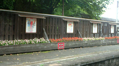 p7106275_thumb.jpg