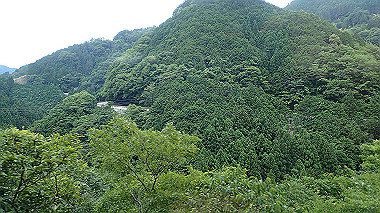 p7106295_thumb.jpg