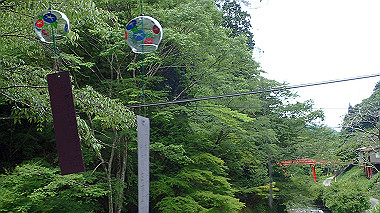 p7106314_thumb.jpg