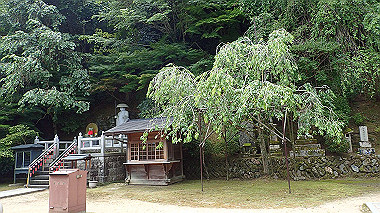 p7106381_thumb.jpg