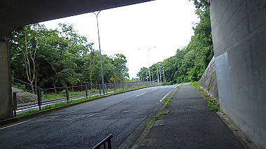 p7106422_thumb.jpg
