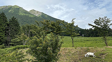 2024-07-18_14-46-06_471_thumb.jpg
