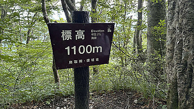 2024-07-19_07-30-40_375_thumb.jpg