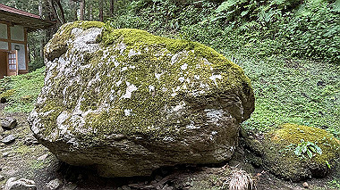 2024-07-20_11-00-16_217_thumb.jpg