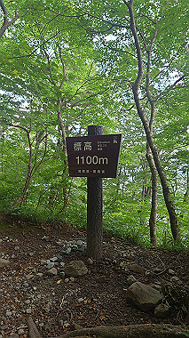 20240719_073054_thumb.jpg