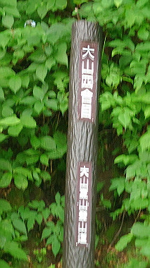 20240719_074038_thumb.jpg