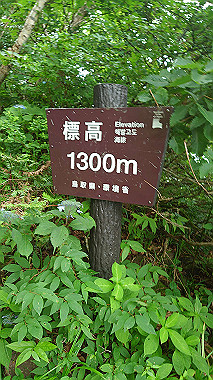 20240719_081254_thumb.jpg
