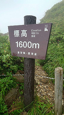 20240719_094345_thumb.jpg