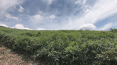 gx011846.mp4_snapshot_00.12_thumb.jpg