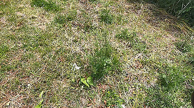 gx011846.mp4_snapshot_00.25_thumb.jpg