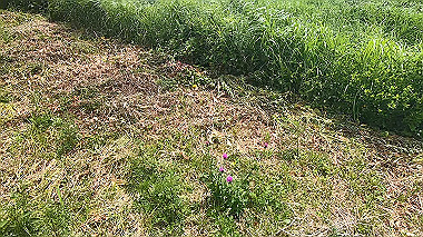 gx011846.mp4_snapshot_00.29_thumb.jpg