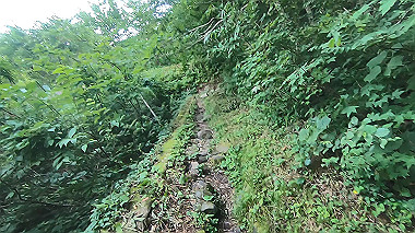 gx011855.mp4_snapshot_00.00_thumb.jpg