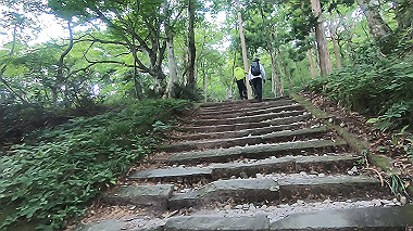 gx011856.mp4_snapshot_00.03_thumb.jpg