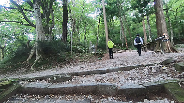 gx011856.mp4_snapshot_00.14_thumb.jpg