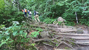gx011858.mp4_snapshot_00.01_thumb.jpg