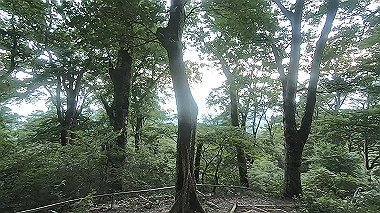 gx011858.mp4_snapshot_00.19_thumb.jpg