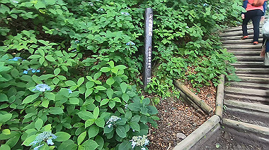 gx011859.mp4_snapshot_01.00_thumb.jpg