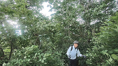 gx011860.mp4_snapshot_00.15_thumb.jpg