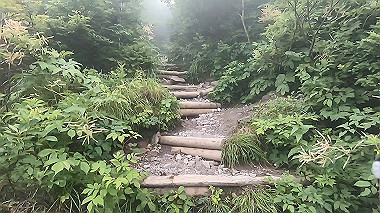 gx011865.mp4_snapshot_00.08_thumb.jpg