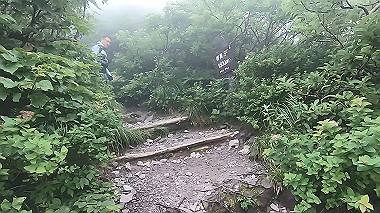 gx011866.mp4_snapshot_02.02_thumb.jpg