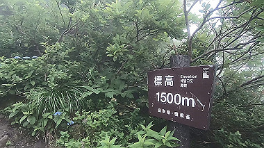 gx011866.mp4_snapshot_02.09_thumb.jpg