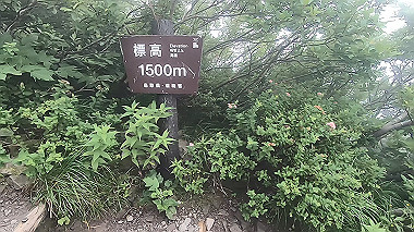 gx011867.mp4_snapshot_00.09_thumb.jpg