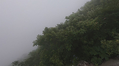 gx011868.mp4_snapshot_00.26_thumb.jpg