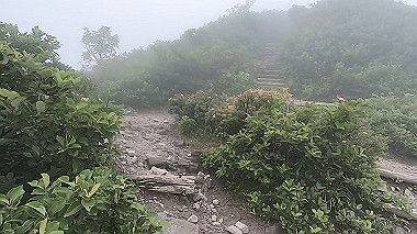 gx011869.mp4_snapshot_00.00_thumb.jpg