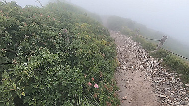 gx011871.mp4_snapshot_00.36_thumb.jpg