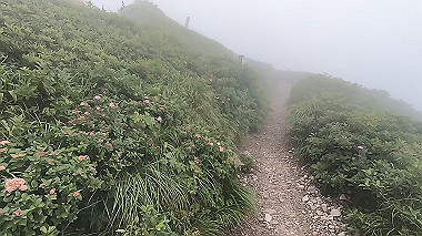 gx011871.mp4_snapshot_00.46_thumb.jpg