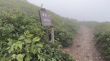 gx011871.mp4_snapshot_00.54_thumb.jpg