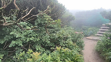 gx011872.mp4_snapshot_00.16_thumb.jpg