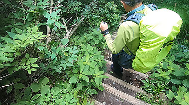 gx011881.mp4_snapshot_00.21_thumb.jpg