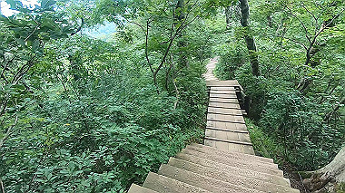 gx011883.mp4_snapshot_00.39_thumb.jpg