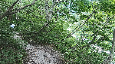 gx011889.mp4_snapshot_00.03_thumb.jpg