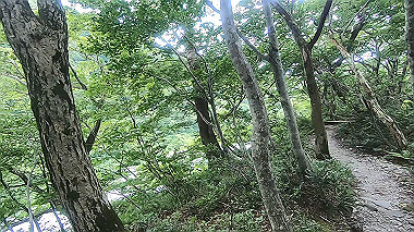 gx011889.mp4_snapshot_00.21_thumb.jpg