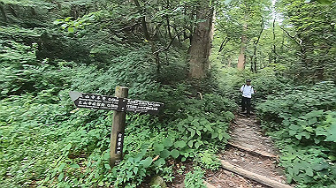 gx011890.mp4_snapshot_00.39_thumb.jpg
