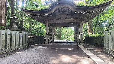 gx011892.mp4_snapshot_00.29_thumb.jpg