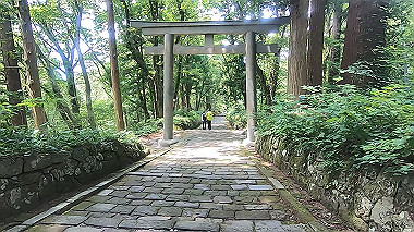 gx011893.mp4_snapshot_00.00_thumb.jpg