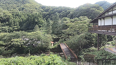 gx011895.mp4_snapshot_00.13_thumb.jpg