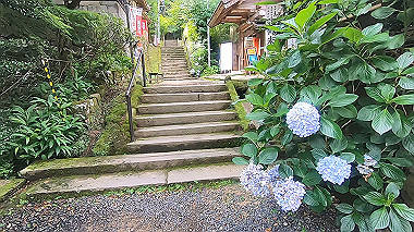 gx011898.mp4_snapshot_00.36_thumb.jpg