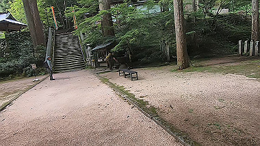 gx011901.mp4_snapshot_00.01_thumb.jpg