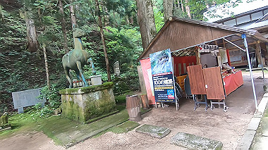 gx011902.mp4_snapshot_00.03_thumb.jpg