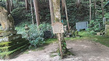 gx011902.mp4_snapshot_00.10_thumb.jpg